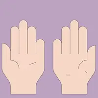 Плечо, предплечье, кисть