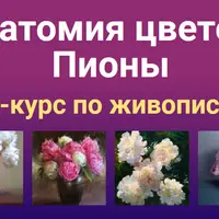 Анатомия цветов. Пионы