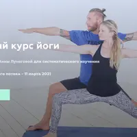 Базовый курс йоги