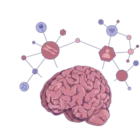 Нейронаука в повседневной жизни