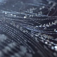 Вышивка: Перо