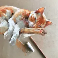 Рыжий кот пастелью