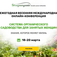 I Ежегодная весенняя международная онлайн-конференция