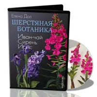 Шерстяная ботаника