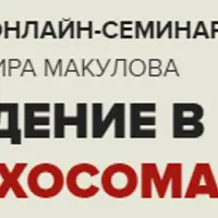 Введение в психосоматику