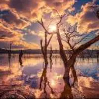 Курс по Прашне