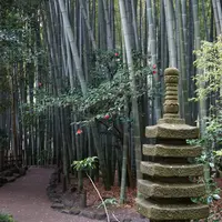 Элементы японского сада. Цикл 2