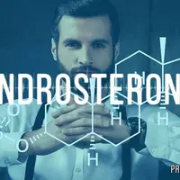 Чистый андростерон: Альфа-самец и уважение