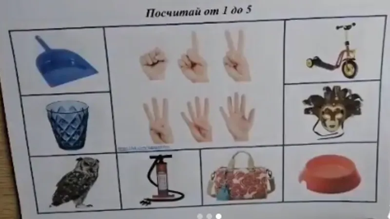 Миниатюра 3