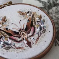 Вышивка: Мотылёк