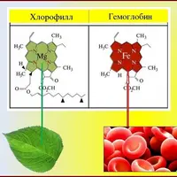 Бесконечный источник энергии