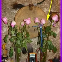 Электрогрядка и Плазменная электрогрядка