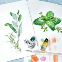 Прованские травы