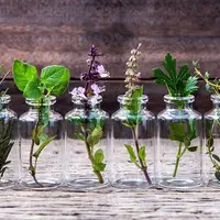 Абсолютная инструкция использования эфирных масел