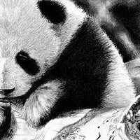 Рисование для чайников и не только, рисуем углём