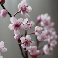 Вишня: интерьерная веточка из полимерной глины