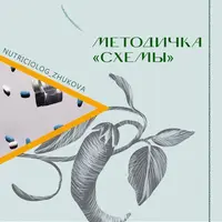 Методичка СХЕМЫ