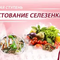Пестование селезенки
