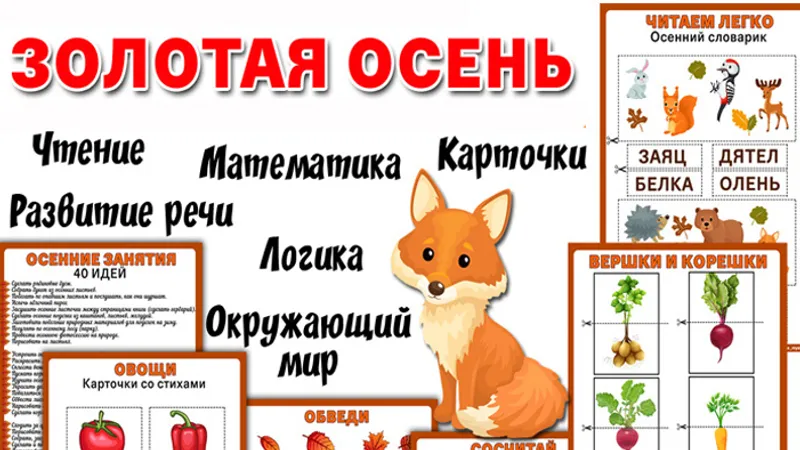 Миниатюра 2