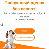 Послушный щенок без хлопот