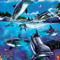 Power Serotonin PLUS + 11x