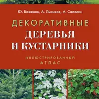 Декоративные деревья и кустарники