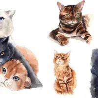 Мини-курс "Кошки"