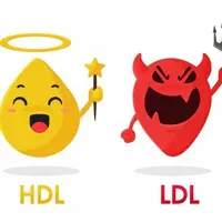 Power Good Fat Plus+11x