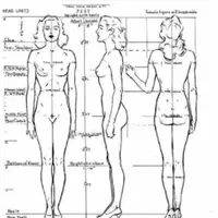 Женское Золотое Сечение