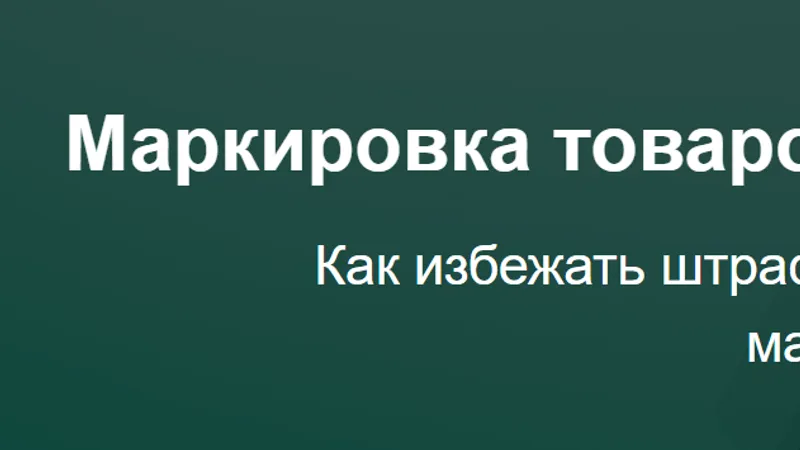 Маркировка товаров: все, что нужно знать