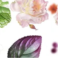 Ботаническая живопись. Реализм