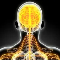 Улучшение нервной системы Powerful Plus + 11x (Extra Strong)