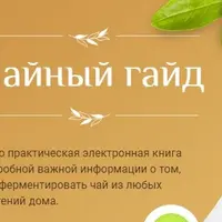 Чайный гайд: рецепты и ферментация