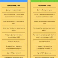 Удаленная профессия 1С:Программист