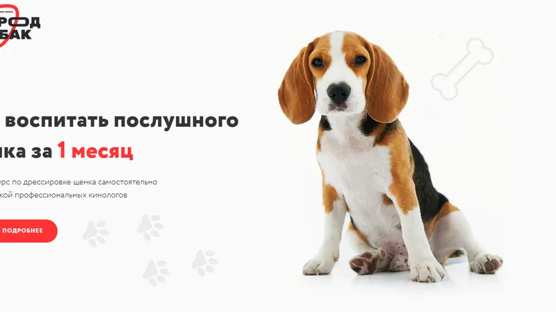 Как воспитать послушного щенка за 1 месяц