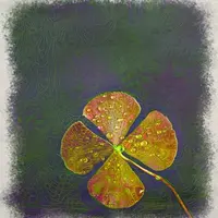 Счастливая подкова и клевер