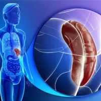 Селезенка Powerful Plus + 11x