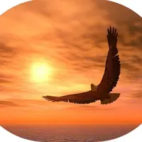 Технологии свободы: введение в проблематику