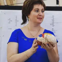 Современные нейропсихологические представления о леворуких детях