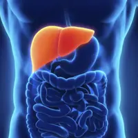 Детоксикация и регенерация печени