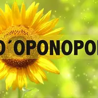 Ho´ponopono Automated Powerful Plus + 11x