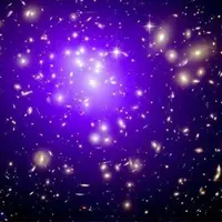 Удаление половых имплантатов Powerful Plus