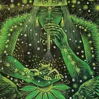 Power Kambô Plus 2.0 11x