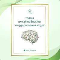 Спасательный круг для мозга и Травы для активности и оздоровления мозга