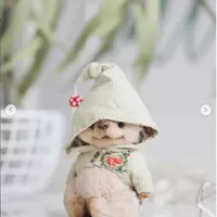 Ёжик Мухоморчик