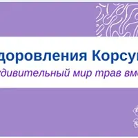 Фитотерапия пищевой аллергии