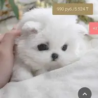 Построение выкройки. Базовый курс