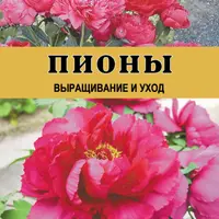 Гладиолусы, Герань, Пионы, Нарциссы. Выращивание и уход