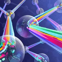 The Git & Github Bootcamp