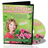 Все секреты домашних растений